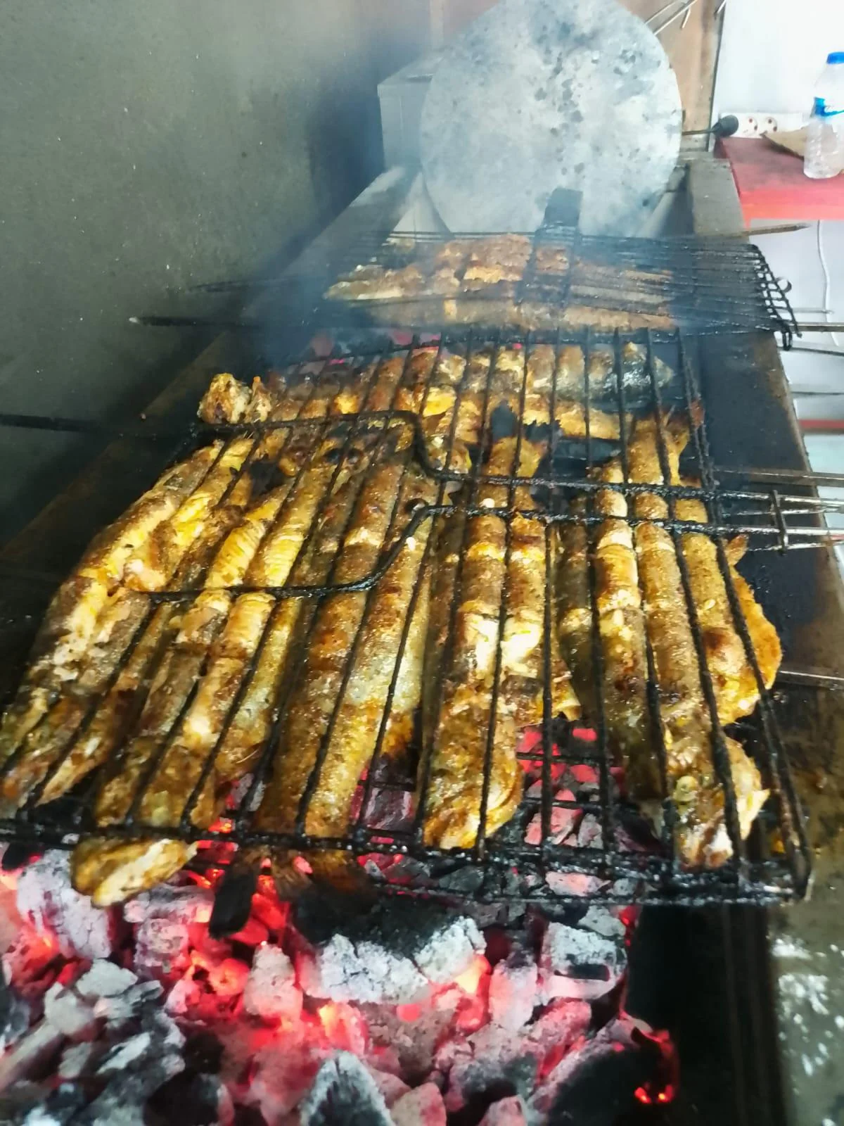 galeri_20260227_155847_f3015bef156c1f22f601