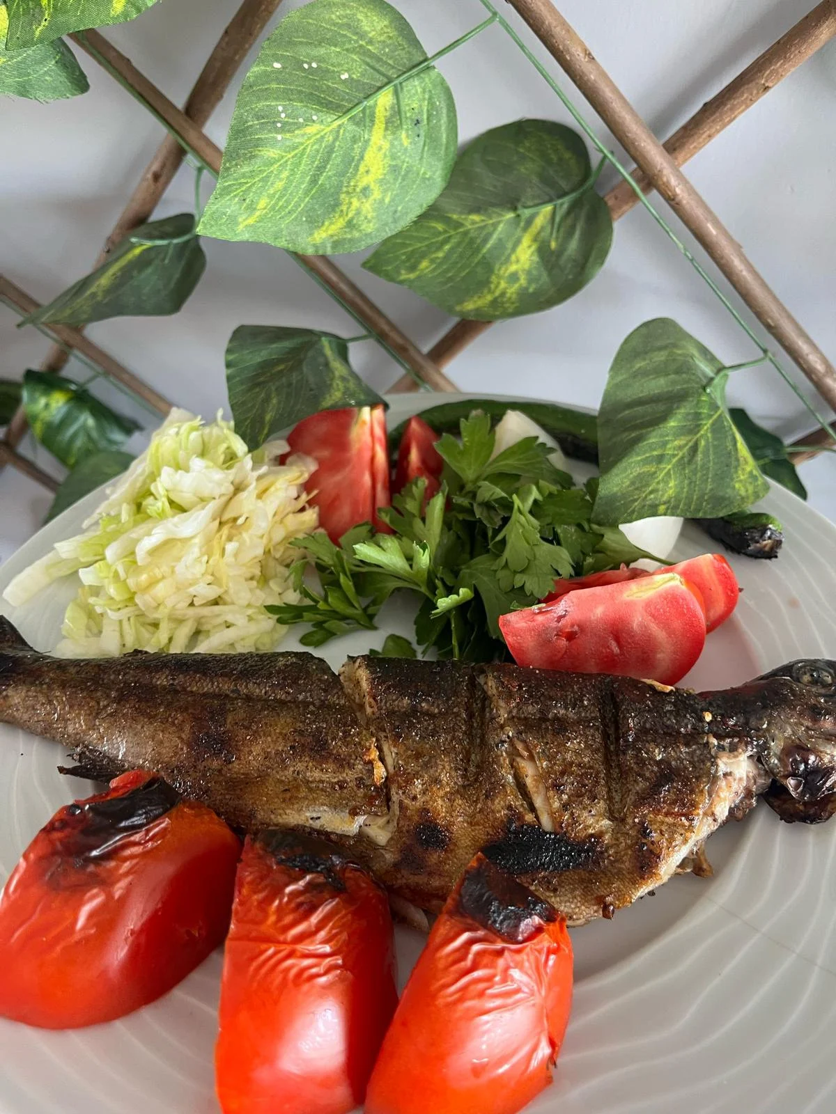 galeri_20260227_155937_9755cea565be6d363e41